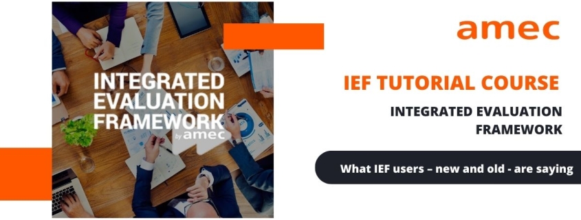 AMEC IEF Tutorial course – users’ stories